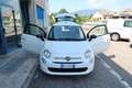 Fiat 500 1.0 Hybrid Cult Blanc - thumbnail 9