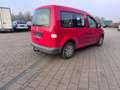 Volkswagen Caddy Caddy TDI 1.9 TDI Life (7-Si.) Rot - thumbnail 4