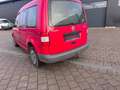 Volkswagen Caddy Caddy TDI 1.9 TDI Life (7-Si.) Rot - thumbnail 5