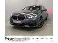 BMW 120 i Sport Line HUD LED HiFi LCProf DA PA Grau - thumbnail 1