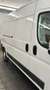 Peugeot Boxer MAXI - thumbnail 2