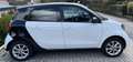 smart forFour smart+forfour+passion Weiß - thumbnail 2