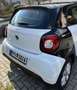 smart forFour smart+forfour+passion Weiß - thumbnail 3