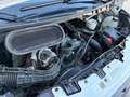 Ford Transit 350 Gemellato Ribaltabile | Km: 46.800 Weiß - thumbnail 27