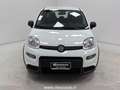 Fiat Panda 1.0 FireFly S&S Hybrid Bianco - thumbnail 6