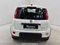 Fiat Panda 1.0 FireFly S&S Hybrid Bianco - thumbnail 7