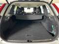 Volvo XC90 D5 Momentum AWD ACC AHK Leder WinterPaket Weiß - thumbnail 14
