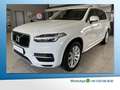 Volvo XC90 D5 Momentum AWD ACC AHK Leder WinterPaket Weiß - thumbnail 1
