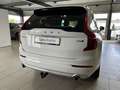 Volvo XC90 D5 Momentum AWD ACC AHK Leder WinterPaket Weiß - thumbnail 7