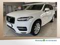 Volvo XC90 D5 Momentum AWD ACC AHK Leder WinterPaket Weiß - thumbnail 1