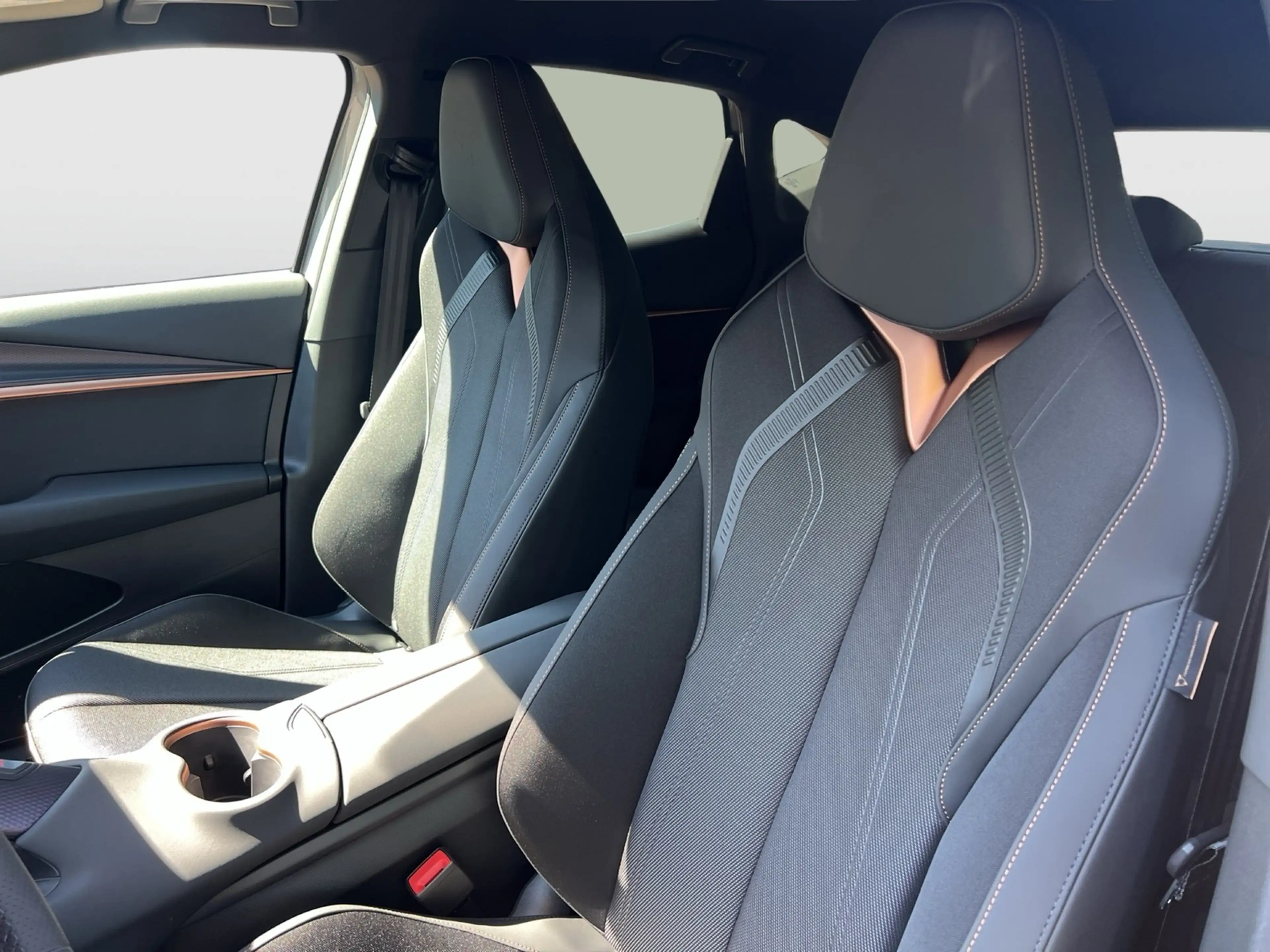CUPRA Tavascan ENDURANCE WÄRMEPUMPE CAM ACC LM19 NAVI — photo 9