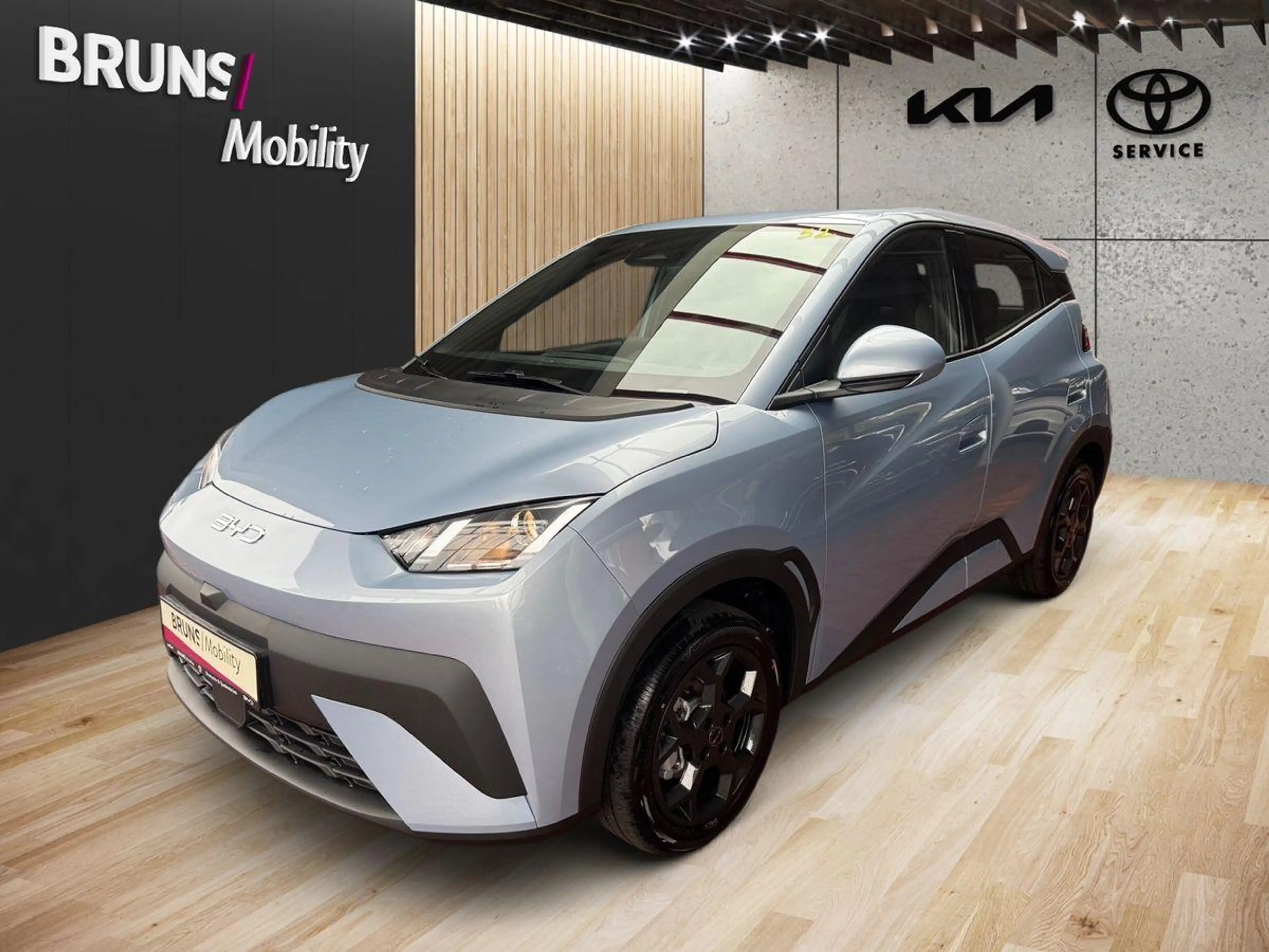 BYD Dolphin Surf 65 kW Boost — photo 2
