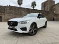 Volvo XC60 B4 R-Design FWD Aut. Wit - thumbnail 1