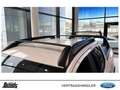 Ford Ranger 2,0 l EcoBlue Doppelkabine Autm. Wildtrak X Blanco - thumbnail 12
