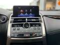 Lexus NX 300h 2.5 Hybrid Amazing Edition LED KAMERA Argent - thumbnail 12