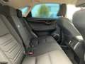 Lexus NX 300h 2.5 Hybrid Amazing Edition LED KAMERA Argent - thumbnail 7