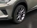 Lexus NX 300h 2.5 Hybrid Amazing Edition LED KAMERA Argent - thumbnail 13