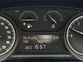 Lancia Ypsilon 1.2 69 CV 5 porte "GOLD" +gpl Bianco - thumbnail 11