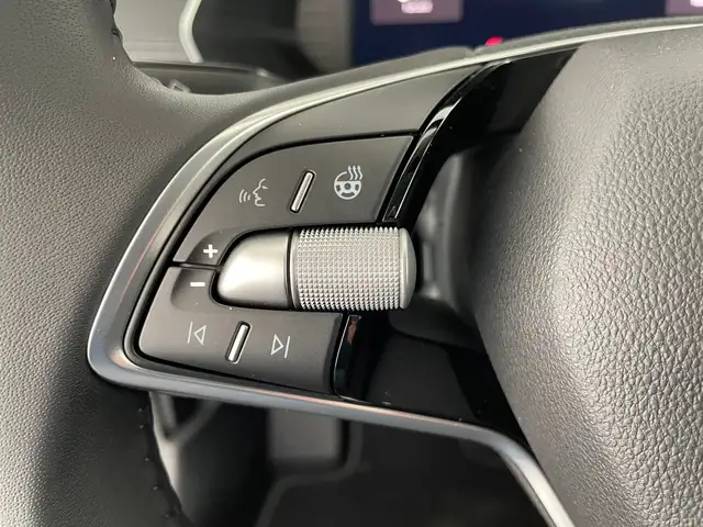 Skoda Octavia view 15