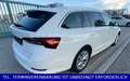 Skoda Octavia Combi 2,0 TDI Edition DSG LED 150PS Weiß - thumbnail 2