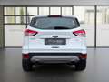 Ford Kuga Trend *KLIMA*AHK*NAVI*SHZ*PDC*1.BESITZ*TÜV* Blanc - thumbnail 4