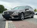 Mercedes-Benz E 350 E 350 BlueTec 4Matic 3x Amg line Totwinkelassist Brun - thumbnail 19
