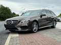 Mercedes-Benz E 350 E 350 BlueTec 4Matic 3x Amg line Totwinkelassist Brun - thumbnail 31