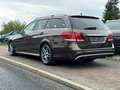 Mercedes-Benz E 350 E 350 BlueTec 4Matic 3x Amg line Totwinkelassist Brun - thumbnail 24