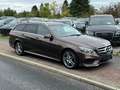 Mercedes-Benz E 350 E 350 BlueTec 4Matic 3x Amg line Totwinkelassist Brun - thumbnail 13