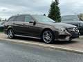 Mercedes-Benz E 350 E 350 BlueTec 4Matic 3x Amg line Totwinkelassist Brun - thumbnail 9