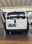 Fiat Fiorino 1.3 MJT 95CV Combi (N1) E5+  Fiorino Blanc - thumbnail 6
