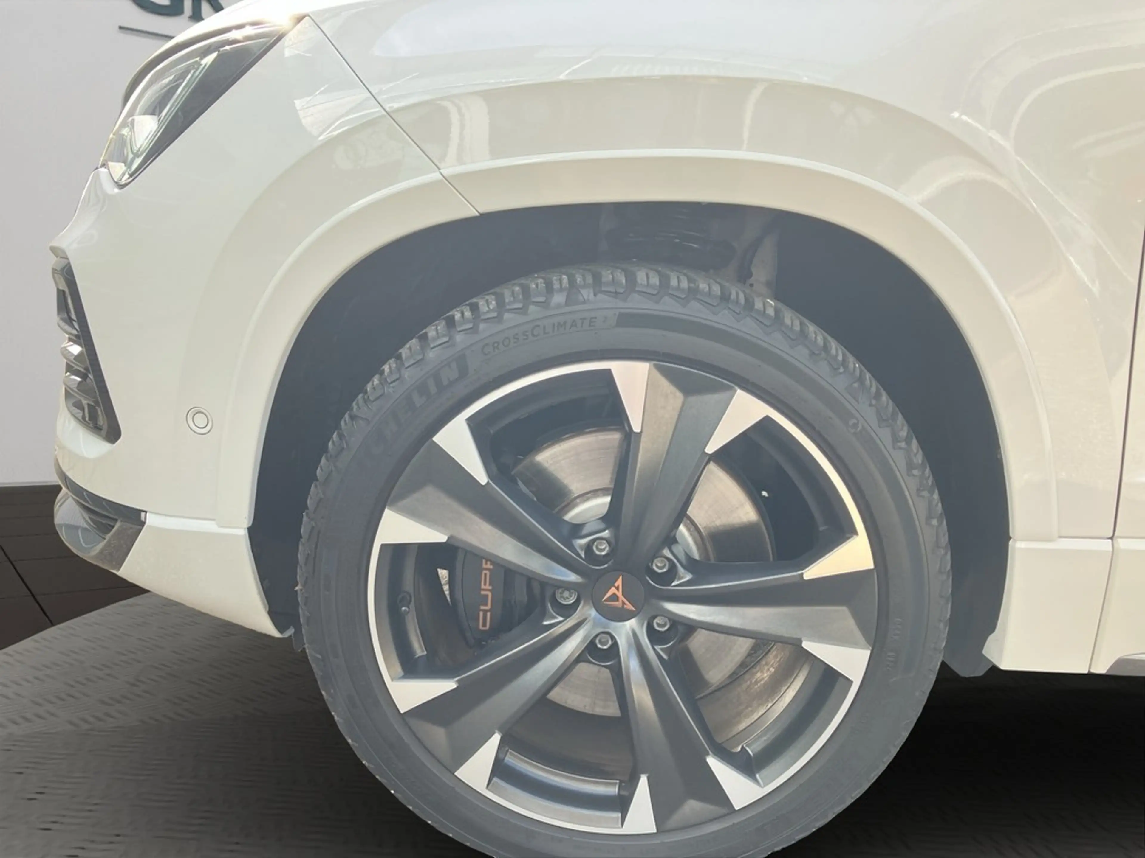 CUPRA Ateca 4x4 TSI DSG Navi AHK AreaView — photo 3
