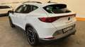 CUPRA Formentor 1.5 TSI OPF VIRTUAL COCKPIT*PANORAMA*ASSIST*RADAR Weiß - thumbnail 5