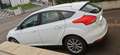 Ford Focus Focus 1.0 EcoBoost 125 S Blanc - thumbnail 3