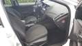 Ford Focus Focus 1.0 EcoBoost 125 S Blanc - thumbnail 7
