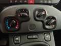 Fiat Panda Panda 1.0 firefly hybrid City Life s GPL Noir - thumbnail 16
