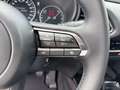 Mazda CX-30 2.5L e-SKYACTIV G 140ps Homura Grigio - thumbnail 11