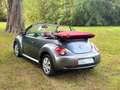 Volkswagen New Beetle Cabrio 1.9 TDi Full Options / prête à immatriculer - thumbnail 2
