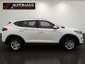 Hyundai TUCSON Tucson 1,6 GDI Run | SEHR GEPFLEGTER ZUSTAND | Weiß - thumbnail 5