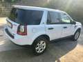 Land Rover Freelander 2.2 td4 S 150cv Bianco - thumbnail 5