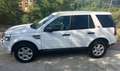 Land Rover Freelander 2.2 td4 S 150cv Bianco - thumbnail 6