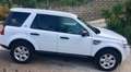 Land Rover Freelander 2.2 td4 S 150cv Bianco - thumbnail 3