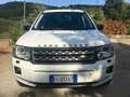 Land Rover Freelander 2.2 td4 S 150cv Bianco - thumbnail 2