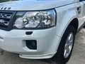 Land Rover Freelander 2.2 td4 S 150cv Bianco - thumbnail 9