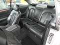 Mercedes-Benz CLK 320 Coupe Elegance 18" AMG Xenon Leder Glasd Plateado - thumbnail 15