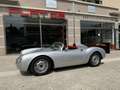 Porsche 550 550 Spyder Chamonix Replica Grau - thumbnail 3