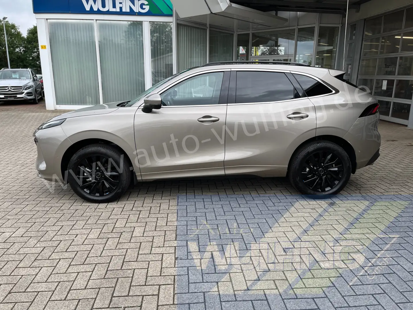 DFSK EVO 1.5T-GDIAutom. Leder Pano 360° Kamera Grey - 2