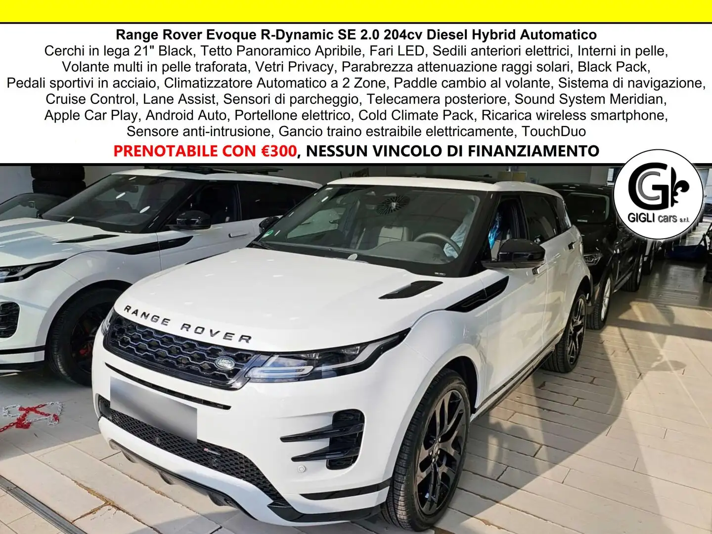 Land Rover Range Rover Evoque R-Dynamic C.20 Navi BlackPack Tetto Camera RDynamic Blanc - 1
