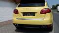 Porsche Cayenne S Sport Edition - Approved bis 09.2025!! Giallo - thumbnail 7
