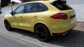 Porsche Cayenne S Sport Edition - Approved bis 09.2025!! Giallo - thumbnail 4